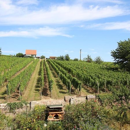 La Belle Alsacienne - Route Des Vins D'Alsace Hotel Hattstatt Kültér fotó