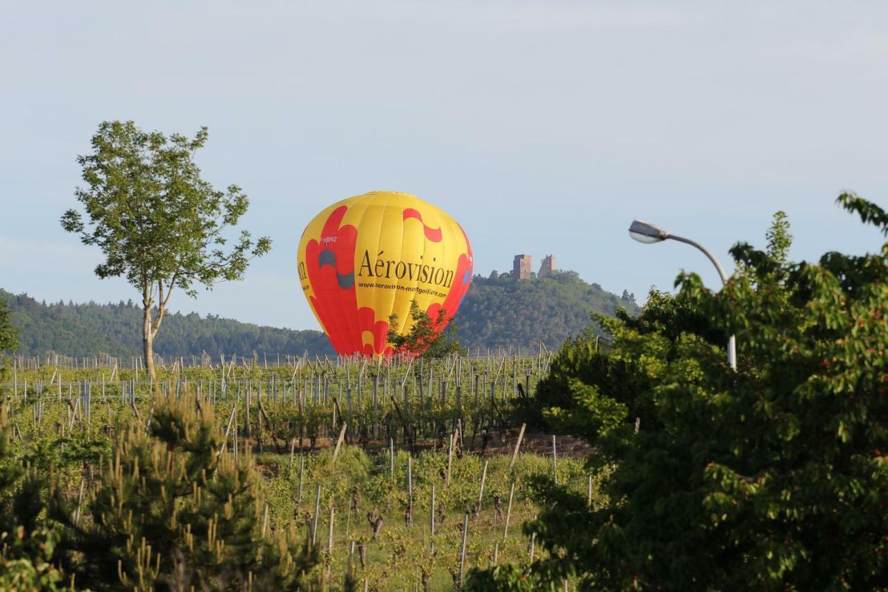 La Belle Alsacienne - Route Des Vins D'Alsace Hotel Hattstatt Szoba fotó