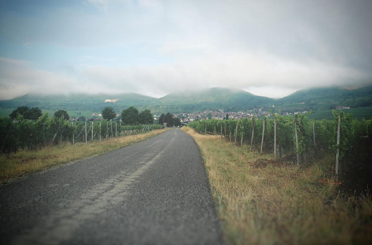 La Belle Alsacienne - Route Des Vins D'Alsace Hotel Hattstatt Kültér fotó