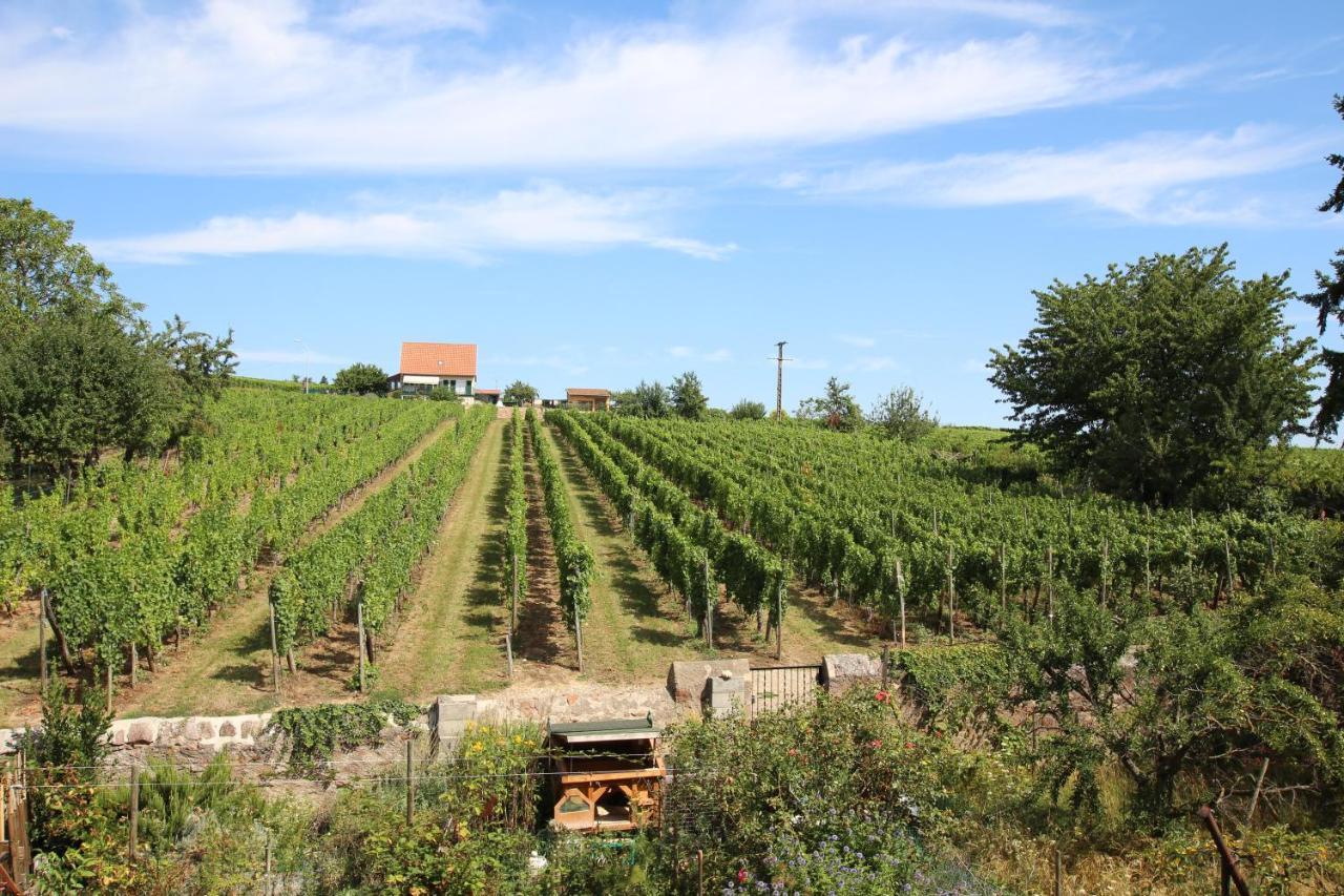 La Belle Alsacienne - Route Des Vins D'Alsace Hotel Hattstatt Kültér fotó